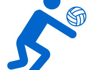 NBVA Juniors Adv Girls Term 4 2024 (Invite/Enquire)