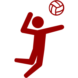 NBVA Juniors Adv Mixed Term 4 2026 -  U15-17 (Mon/Wed) (Invite/Enquire)